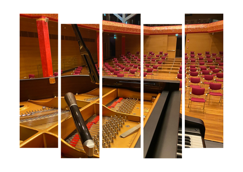 armin_rieder_bilder_aufgespaltet2